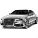 A7 (10-14)