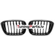 BMW X3 G01 (17-21), X4 G02 (18-21) priekšējās restes melnas/glancētas