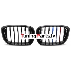 BMW X3 G01 (17-21), X4 G02 (18-21) priekšējās restes melnas/glancētas 3 krāsu