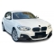 BMW F20/F21 (15-19) priekšējā M bampera uzlika melna/glancēta