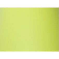 Pašlīmējošā plēve matēta neona zaļa, 0.5x2m
