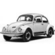 Beetle 1303 (73-85)