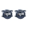 Renault Megane (02-05) miglas lukturi