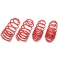 Renault Clio (06-10) Sport 2.0 CUP atsperes, sēdinātas 15/20mm TA Technix