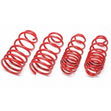 Renault Wind (10-...) atsperes, sēdinātas 30/30mm TA Technix