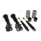 Ford Mustang (11-14) D2 Racing coiloveri